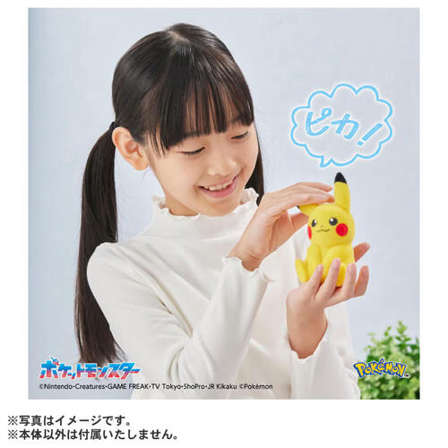 Pokemon寶可夢30週年紀念-掌心大小的皮卡丘Poke-fuwa
