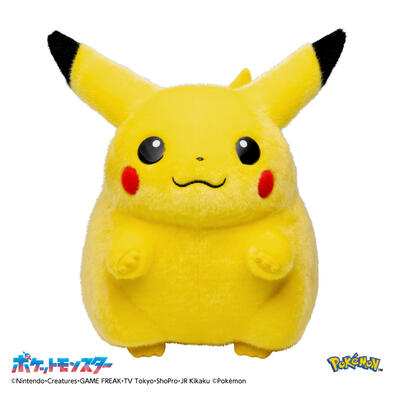 Pokemon寶可夢30週年紀念 歡迎回來! 皮卡丘11