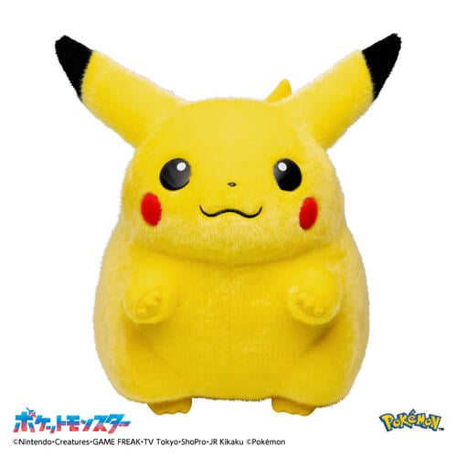 Pokemon寶可夢30週年紀念 歡迎回來! 皮卡丘11