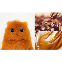 FUFUSOUL最佳拍檔-咖啡