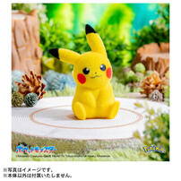 Pokemon寶可夢30週年紀念-掌心大小的皮卡丘Poke-fuwa