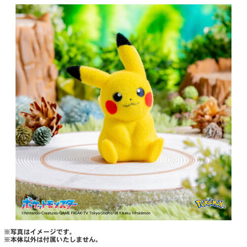 Pokemon寶可夢30週年紀念-掌心大小的皮卡丘Poke-fuwa