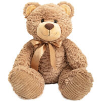 Friends For Life So Not Grizzly Soft Toy 36cm