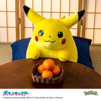 Pokemon寶可夢30週年紀念 歡迎回來! 皮卡丘11