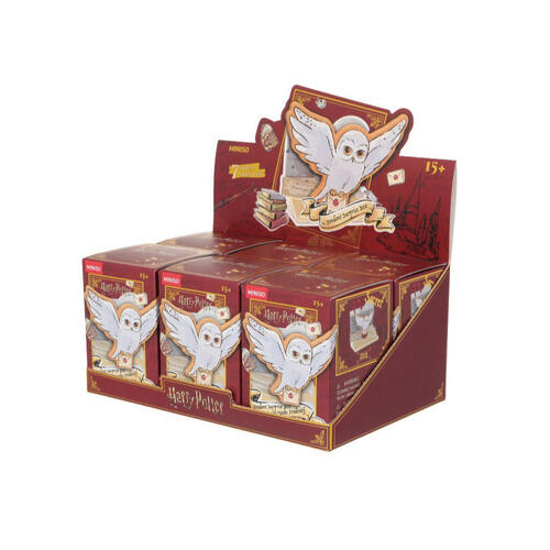 Harry Potter Time  Letter Surprise Box P