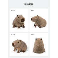 MC HUGS 卡皮巴拉呆呆 25cm