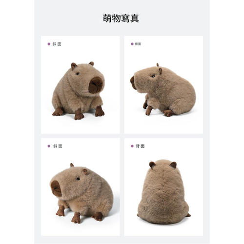 MC HUGS 卡皮巴拉呆呆 25cm