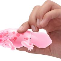 Pets Alive-潛水蠑螈寶寶-隨機發貨