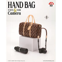 FEXT Handbag and Camera