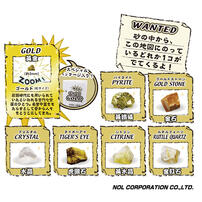 Nol Discover The Gold - Assorted