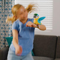 歡樂小吱  藍鸚鵡