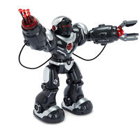 playpop Radio-Controlled Smart Robot