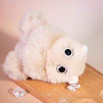 FUFUSOUL半糖去冰-奶茶