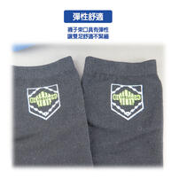 BLUE LOCK Socks-Standard  