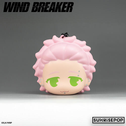 WIND BREAKER SUNRISEPOP 防風少年 捏捏吊飾 盲盒-隨機出貨
