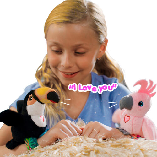 歡樂小吱 大嘴鳥