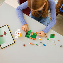 LEGO樂高創世神系列 雞農場 21585