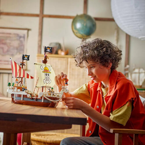 LEGO樂高 航海王系列前進梅利號海賊船 75639