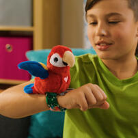 歡樂小吱  紅鸚鵡