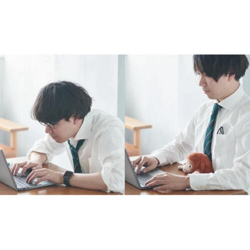 Dreams Posture Pal 坐姿伴偶(L) 小熊