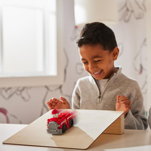 Paw Patrol (29)汪汪隊立大功 救援迴力車-隨機發貨