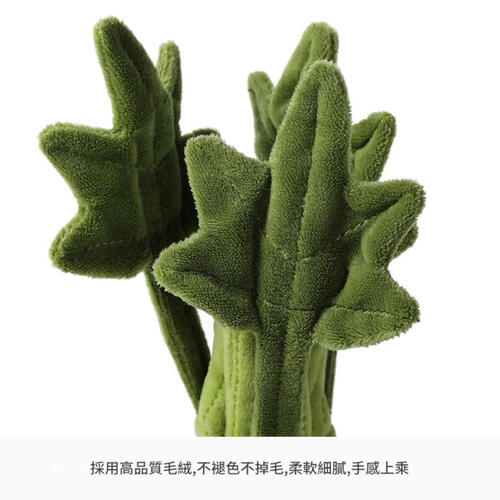 mchugs  Slim Celery 18cm