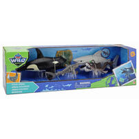 Wild Quest Dino 海洋動物模型組