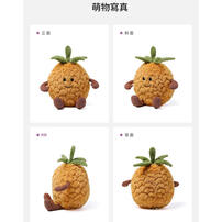 mchugs pineapple 18cm