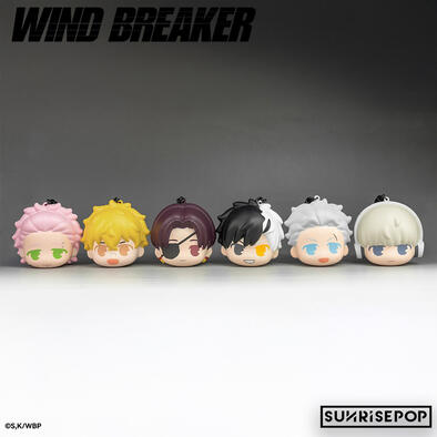 WIND BREAKER SUNRISEPOP 防風少年 捏捏吊飾 盲盒-隨機出貨