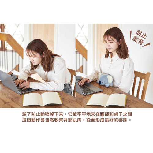 Dreams Posture Pal 坐姿伴偶BIG 企鵝