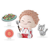 Haikyuu!!  BAP/排球少年!!好吃collection box @8種- 隨機發貨