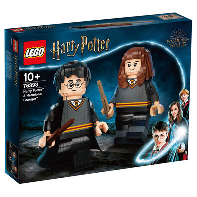 Lego樂高 76393 Harry Potter & Hermione Granger