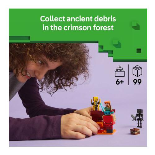 Lego樂高 The Nether Lava Battle 21266