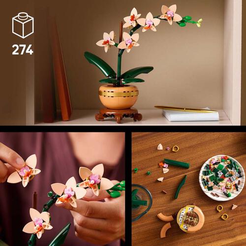 LEGO Botanicals迷你蘭花 10343