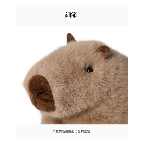 MC HUGS 卡皮巴拉呆呆 25cm