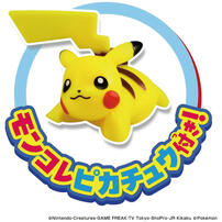 Pokemon寶可夢 新!寶可夢抓抓機