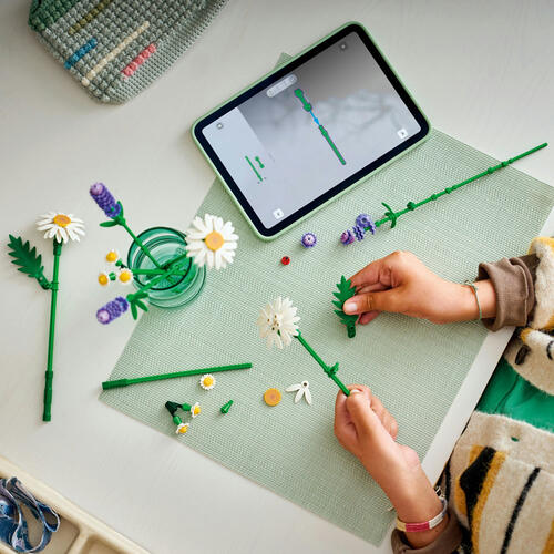 LEGO Botanicals 雛菊 11508