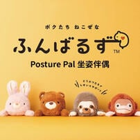 Dreams Posture Pal 坐姿伴偶(L) 樹懶