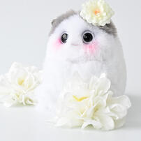 FUFUSOUL雨落花庭-單仔禮盒