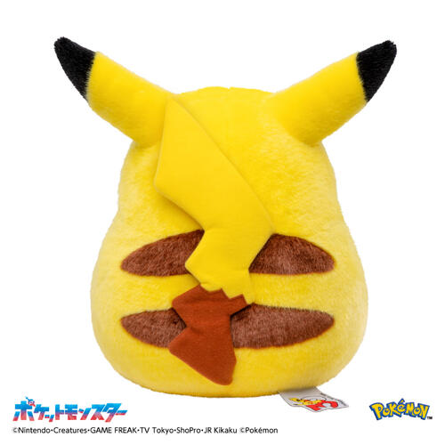 Pokemon寶可夢30週年紀念 歡迎回來! 皮卡丘11