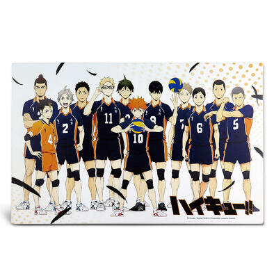 Haikyuu!! painting Hinata Kageyama