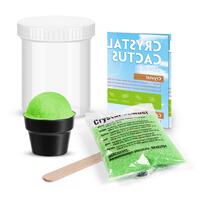 Green Crystal Cactus Growing Kit