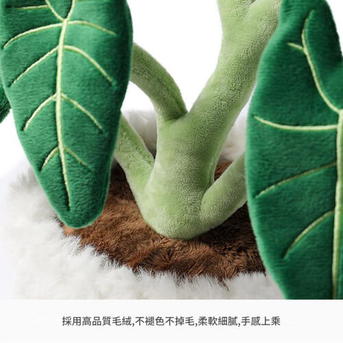 mchugs Alocasia Odora Bonsai 30cm