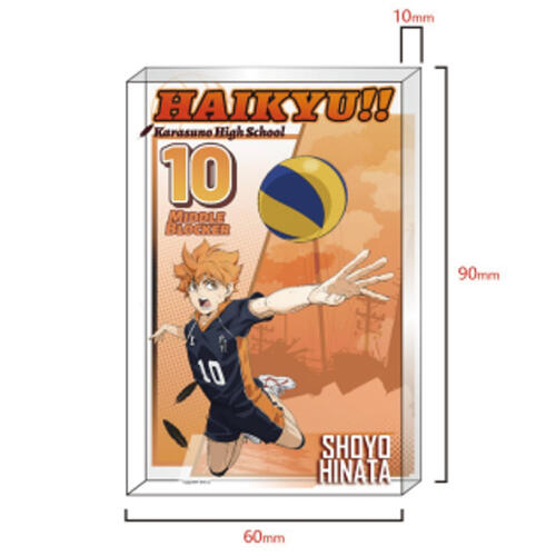 Haikyuu!! 排球少年 垃圾場決戰壓克力磚-日向翔陽